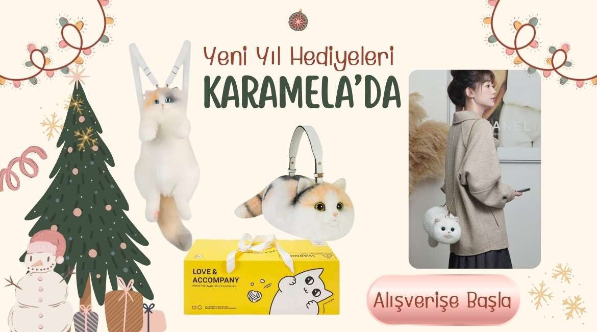 Yeni Yıl Hediyeleri Karamela'da Kediler
