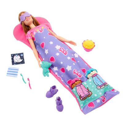 Barbie ve Köpekçikleri Pijama Partisi HXN01 - 2