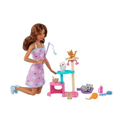 Barbie ve Yavru Kedi Oyun Seti