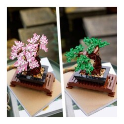 Bonsai Tree - 2