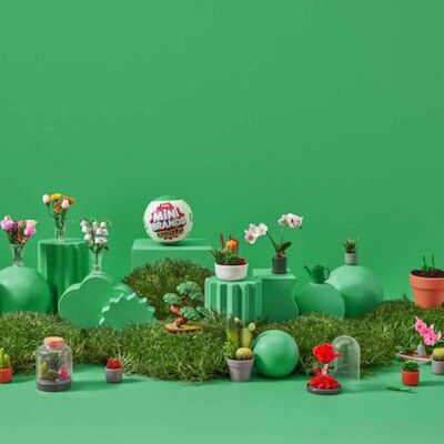 Botanik Bahçe Sürpriz Paket MN800000 - 4