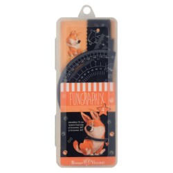 Bruno Visconti Cetvel Seti 4 Parça 15 Cm Fungraphix 45-0023 02 - Bruno Visconti