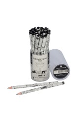 Bruno Visconti Jumbo Kurşun Kalem 4B Gazete - 5