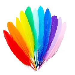 Bubu Büyük Tüy 20 Cm 20li - 1