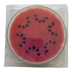 Cam Bardak Altlıkları - Meyveler - 4Lü Set - Out of the Blue