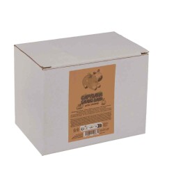 Capybara Kumbara 15X9 Cm - 5