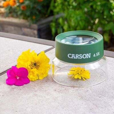 Carson Çocuklar İçin Gözlem Lup Büyüteci - 5