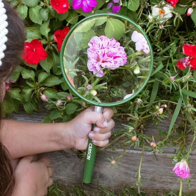 Carson Ekstra Büyük Çocuk Büyüteci - 2