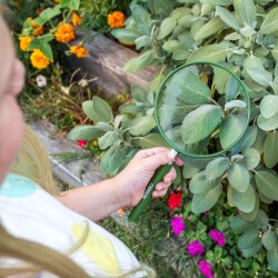 Carson Ekstra Büyük Çocuk Büyüteci - 4