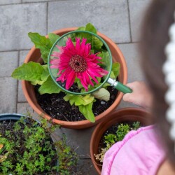 Carson Ekstra Büyük Çocuk Büyüteci - 6