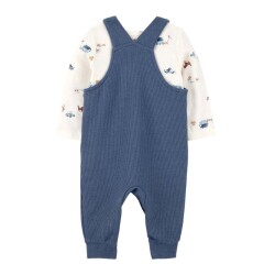 Carters Layette Erkek Bebek Salopet Set 1S941110 - 2
