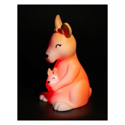 Dhink Anne Bebek Kangru Gece Lambası - 4