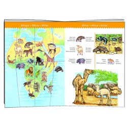 Djeco Dünya Puzzle 100 Parça - 2