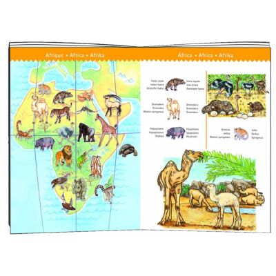 Djeco Dünya Puzzle 100 Parça - 2