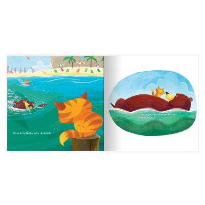 Eolo Bir Ayı Burada Uyuyabilir Mi - 2