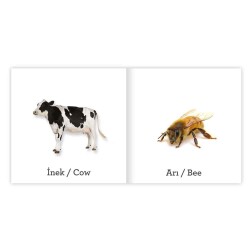 Eolo İlk Kelimelerim Dizisi - Hayvanlar - 3