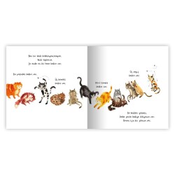 Eolo Kedi Koleksiyonu - 4