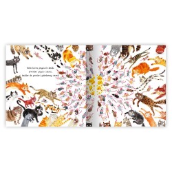 Eolo Kedi Koleksiyonu - 3