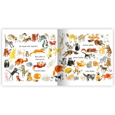 Eolo Kedi Koleksiyonu - 2