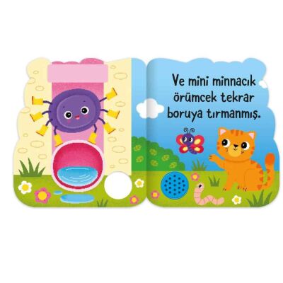Eolo Mini Minnacık Örümcek - 2