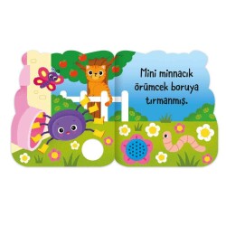 Eolo Mini Minnacık Örümcek - 3