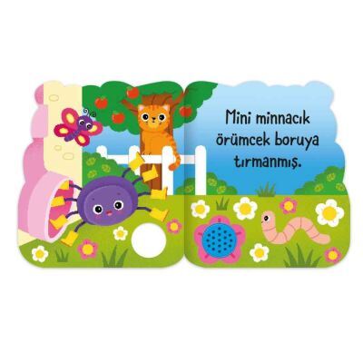 Eolo Mini Minnacık Örümcek - 3