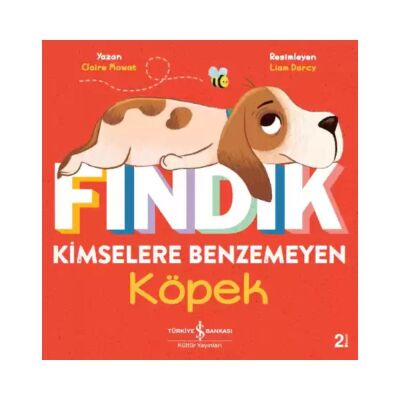 Fındık Kimselere Benzemeyen Köpek - 1