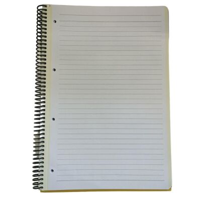 Gıpta Mood A4 Çizgili Defter 80 Yaprak - 2