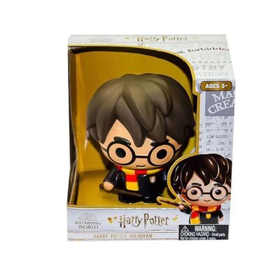 Harry Potter Koleksiyon Figürü