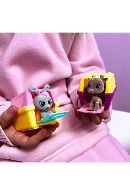 House Pets Evcil Hayvan - 4