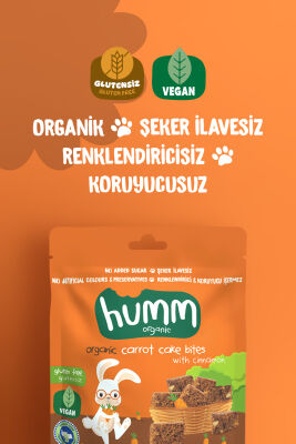 Humm Organik Glutensiz Vegan Havuçlu ve Tarçınlı Kek - 1