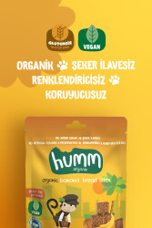 Humm Organik Glutensiz Vegan Muzlu Kek - 2