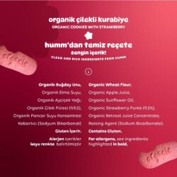 Humm Organik Vegan Çilekli Kurabiye 55 gr - 2