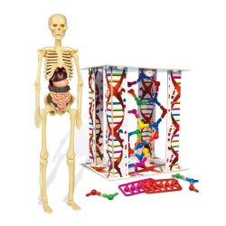 İlk Keşiflerim İnsan Anatomisi - 2