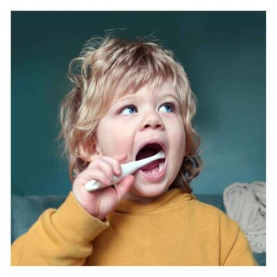 Jack N'Jill Diş Fırçası Extra Soft Dino & Fil - 2