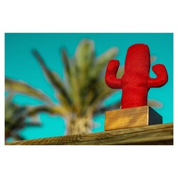 Kayigo Cactus Lavanta Dolgulu Notluk Kırmızı-Ahşap - Thumbnail