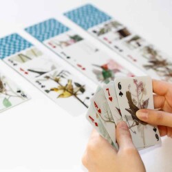 Kikkerland 3D İskambil Kağıtları Kuş - 2