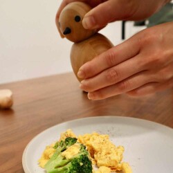 Kikkerland Baharat Değirmeni Kuş - 2