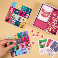 Kikkerland Bingo Oyunu Kedi - 2