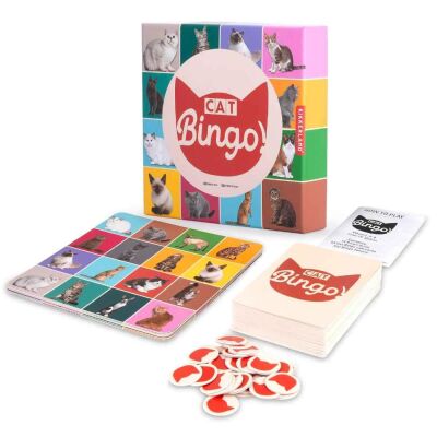 Kikkerland Bingo Oyunu Kedi - 3