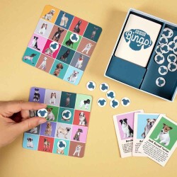 Kikkerland Bingo Oyunu Köpek - 2