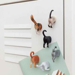 Kikkerland Kedi Magnet 6lı - 2