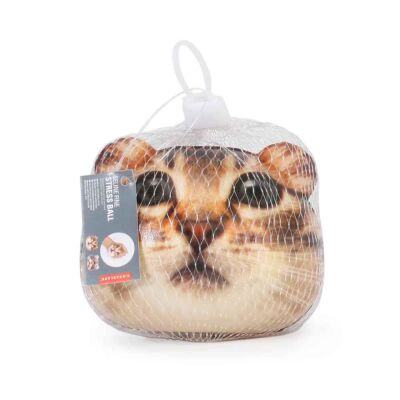Kikkerland Stres Topu Kedi - 5