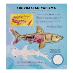 Köpek Balığı Kitabı Hannah Alice - 3