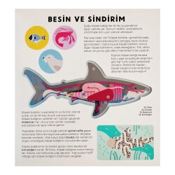 Köpek Balığı Kitabı Hannah Alice - 2