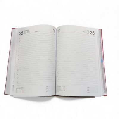 Liz 2026 Yeni Yıl Ajandası Velutto Kapak 17x24 168 Yap - 2