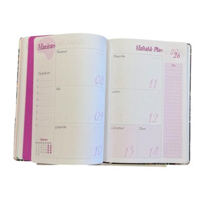 Liz Akademik Ajandası Kuşe Kapak 17X24 - 9