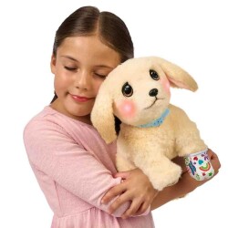 LLP Yavru Köpek İyileşiyor - 2