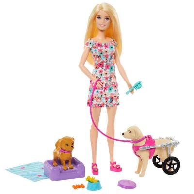 Mattel Barbie ve Engelli Köpeği Oyun Seti HTK37 - 2