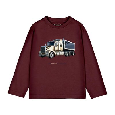 Mayoral Erkek Çocuk Uzun Kollu T-shirt AW2504085 - 1